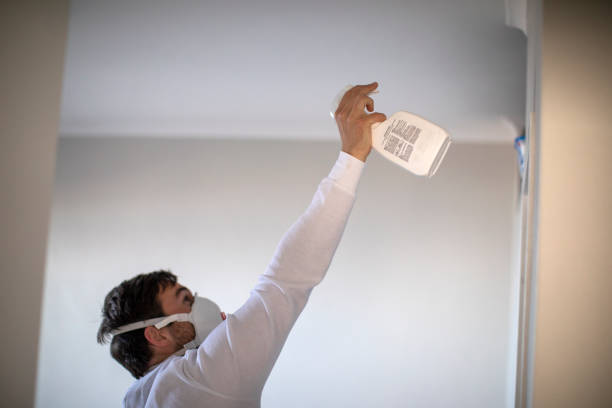 Best Kitchen Mold Remediation in Brownsville, KY